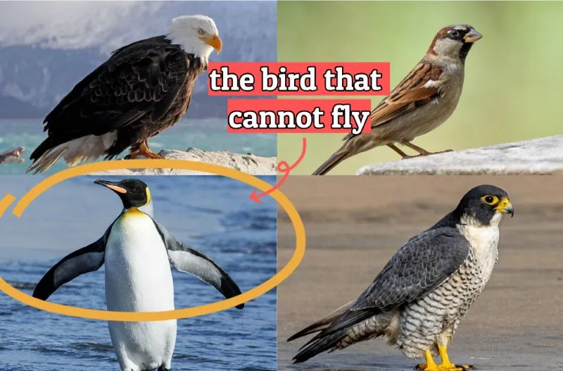 Hall of Records Finish Line: Volume II